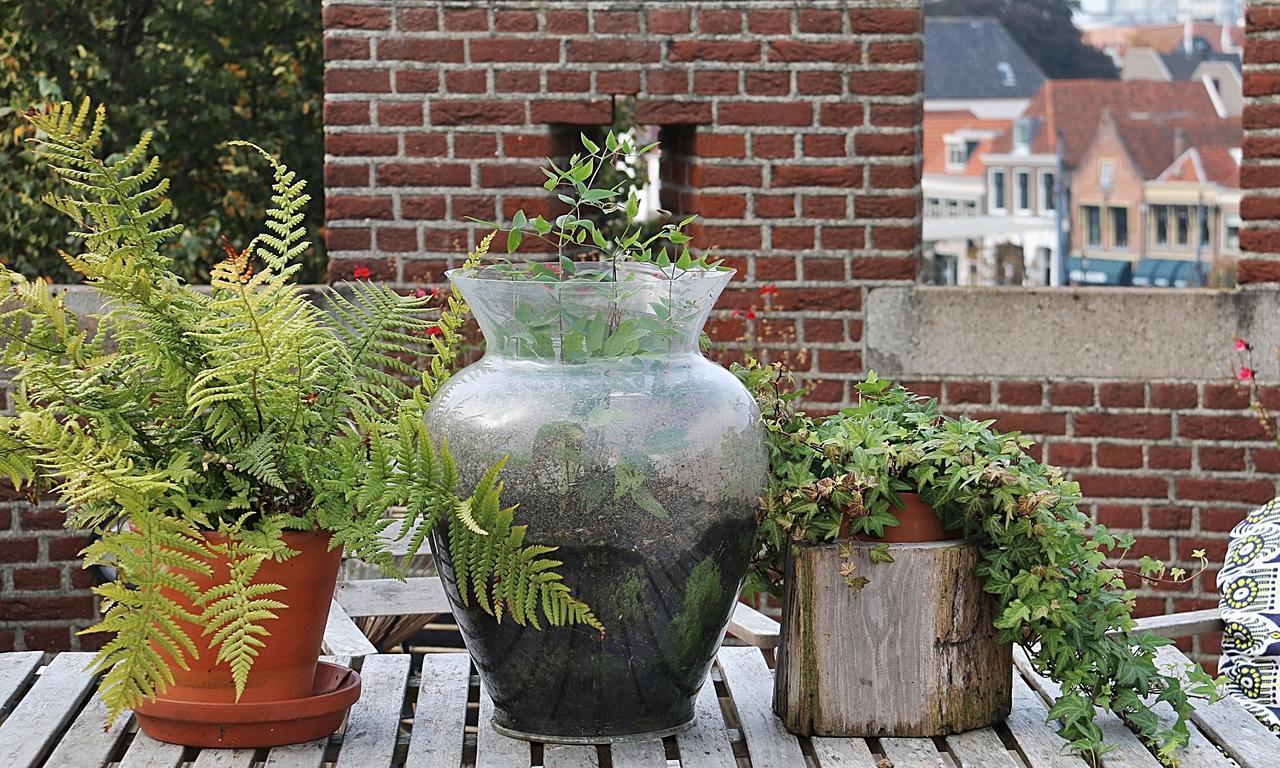 De Pelsertoren Zwolle  Exteriör bild